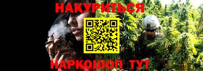 мяу мяу мука Пушкино