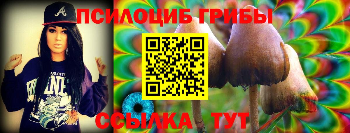 как найти закладки  Вход с VPN  Рославль  Псилоцибиновые грибы мицелий 